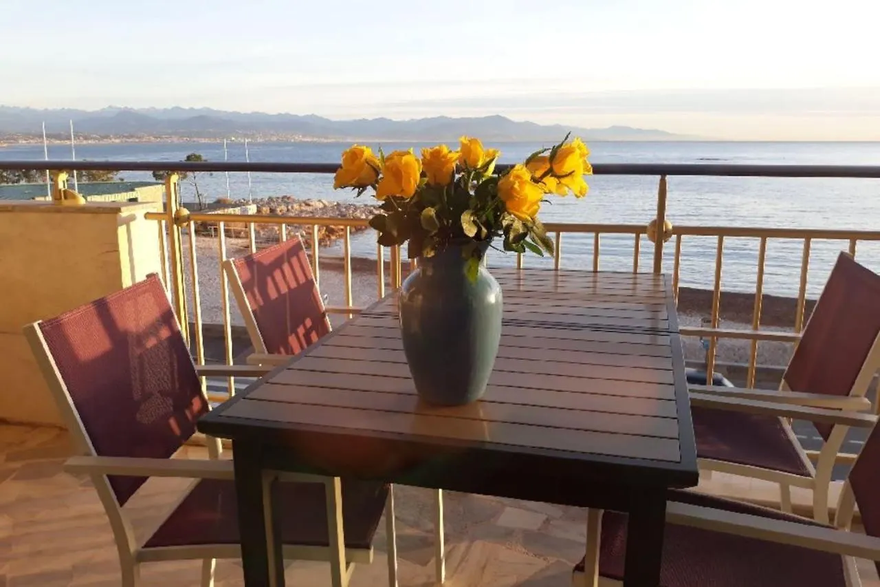 Seafront One Bedroom Apartment With A Terrasse Swimming Pool And A Parking Antibes Holiday home
