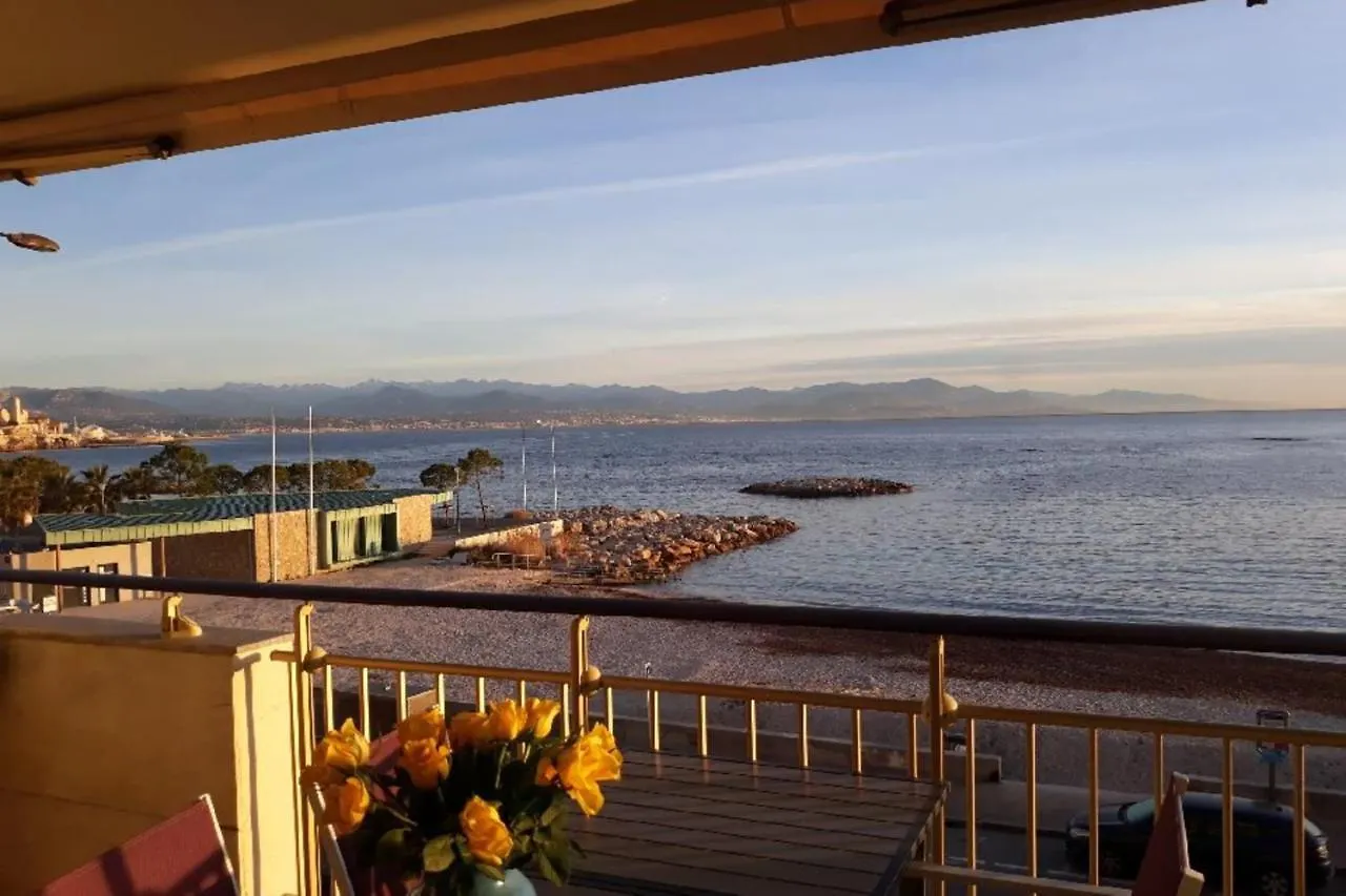 Seafront One Bedroom Apartment With A Terrasse Swimming Pool And A Parking 昂蒂布 0*,