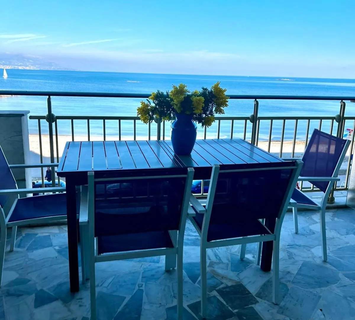 Seafront One Bedroom Apartment With A Terrasse Swimming Pool And A Parking 昂蒂布
